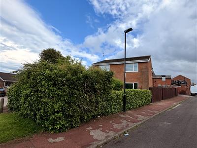 Picture 23